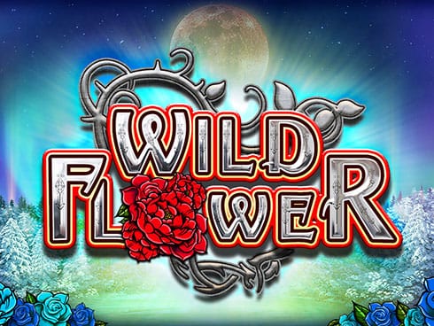 Wild Flower screenshot